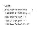 初中物理新人教版九年級全冊第十六章階段訓練2（15.4~16.2）作業(yè)課件2025秋