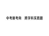 初中物理新人教版九年級全冊第十七章中考新考向 跨學(xué)科實踐題作業(yè)課件2025秋