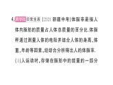 初中物理新人教版九年級全冊第十七章中考新考向 跨學(xué)科實踐題作業(yè)課件2025秋