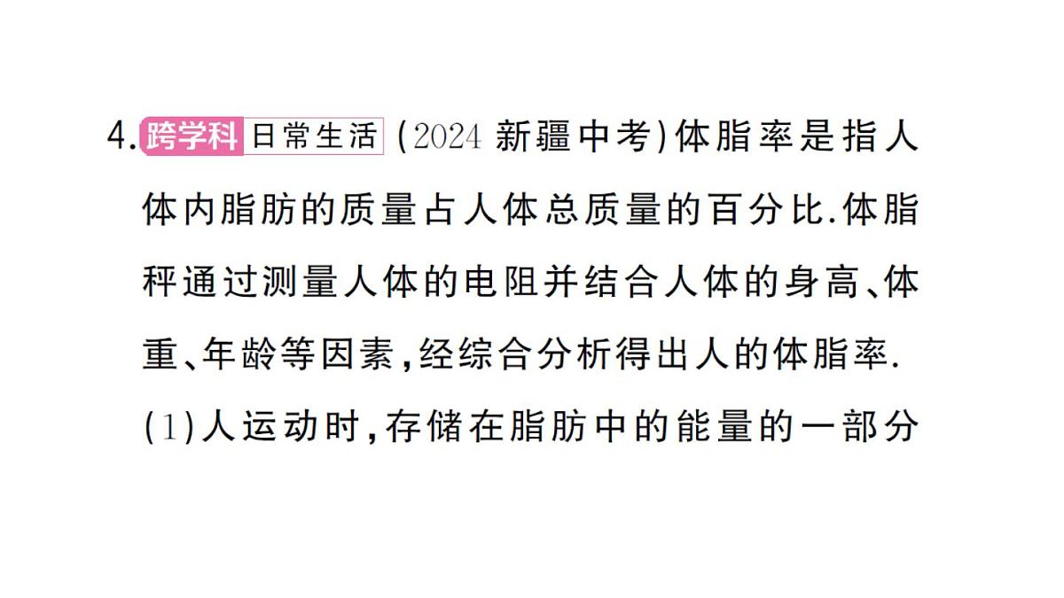 初中物理新人教版九年级全册第十七章中考新考向 跨学科实践题作业课件2025秋第5页