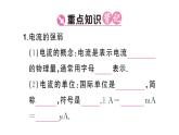 初中物理新人教版九年級(jí)全冊(cè)第十五章第四節(jié) 電流的測(cè)量課堂作業(yè)課件2025秋