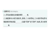 初中物理新人教版九年級(jí)全冊(cè)第十五章第一節(jié) 兩種電荷作業(yè)課件（2025秋季）