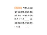 初中物理新人教版九年級全冊第十六章第三節(jié) 電阻作業(yè)課件（2025秋季）