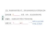 初中物理新人教版九年級(jí)全冊(cè)第十三章章末復(fù)習(xí)提升作業(yè)課件（2025秋季）