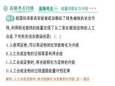 初中物理新人教版九年級全冊第十四章章末復習提升作業(yè)課件（2025秋季）