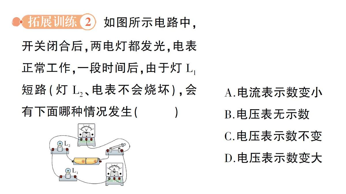 初中物理新人教版九年级全册第十七章专题二 电路故障分析作业课件（2025秋季）第7页