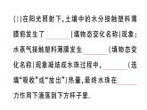 初中物理新滬科版九年級全冊第十三章實踐 探究在干旱地區(qū)如何取水作業(yè)課件2025秋