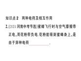 初中物理新滬科版九年級(jí)全冊(cè)第十五章第一節(jié) 靜電現(xiàn)象作業(yè)課件2025秋