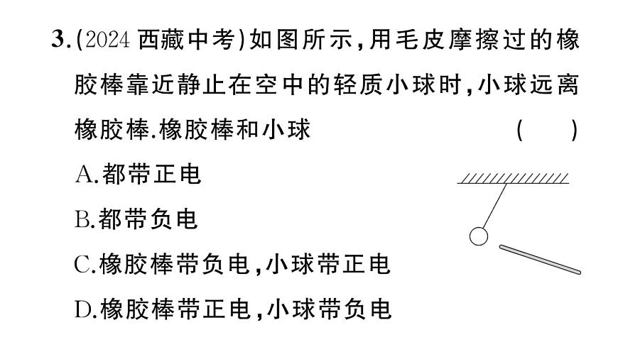 初中物理新沪科版九年级全册第十五章第一节 静电现象作业课件2025秋第4页