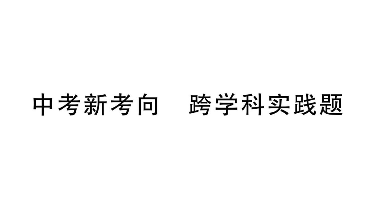 初中物理新沪科版九年级全册第十三章中考新考向 跨学科实践题作业课件2025秋第1页
