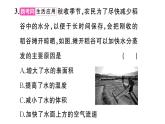 初中物理新滬科版九年級(jí)全冊(cè)第十三章中考新考向 跨學(xué)科實(shí)踐題作業(yè)課件2025秋