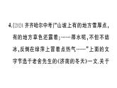 初中物理新滬科版九年級(jí)全冊(cè)第十三章中考新考向 跨學(xué)科實(shí)踐題作業(yè)課件2025秋