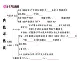 初中物理新滬科版九年級全冊第十四章章末復習訓練作業(yè)課件2025秋