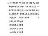 初中物理新滬科版九年級(jí)全冊(cè)第十五章專題四 簡(jiǎn)單電路的識(shí)別與設(shè)計(jì)作業(yè)課件2025秋
