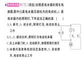 初中物理新滬科版九年級(jí)全冊(cè)第十五章專題四 簡(jiǎn)單電路的識(shí)別與設(shè)計(jì)作業(yè)課件2025秋