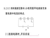 初中物理新滬科版九年級(jí)全冊(cè)第十五章重點(diǎn)實(shí)驗(yàn)突破 (一題練透一實(shí)驗(yàn))作業(yè)課件2025秋