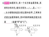 初中物理新滬科版九年級全冊第十六章中考新考向 跨學科實踐題作業(yè)課件2025秋