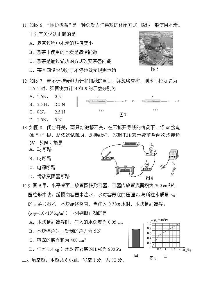2025年福建省南平市初中毕业班适应性检测物理试卷（中考模拟）(001)第3页