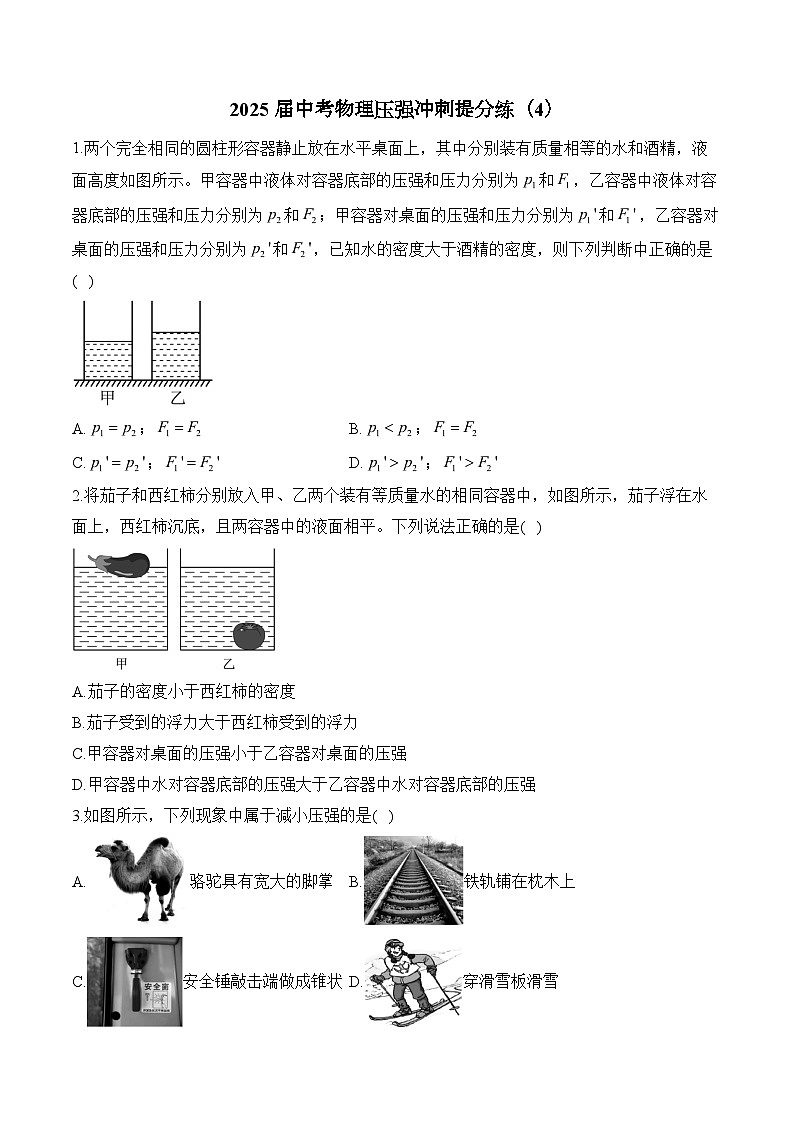2025届中考物理压强冲刺提分练（4）（含解析）第1页