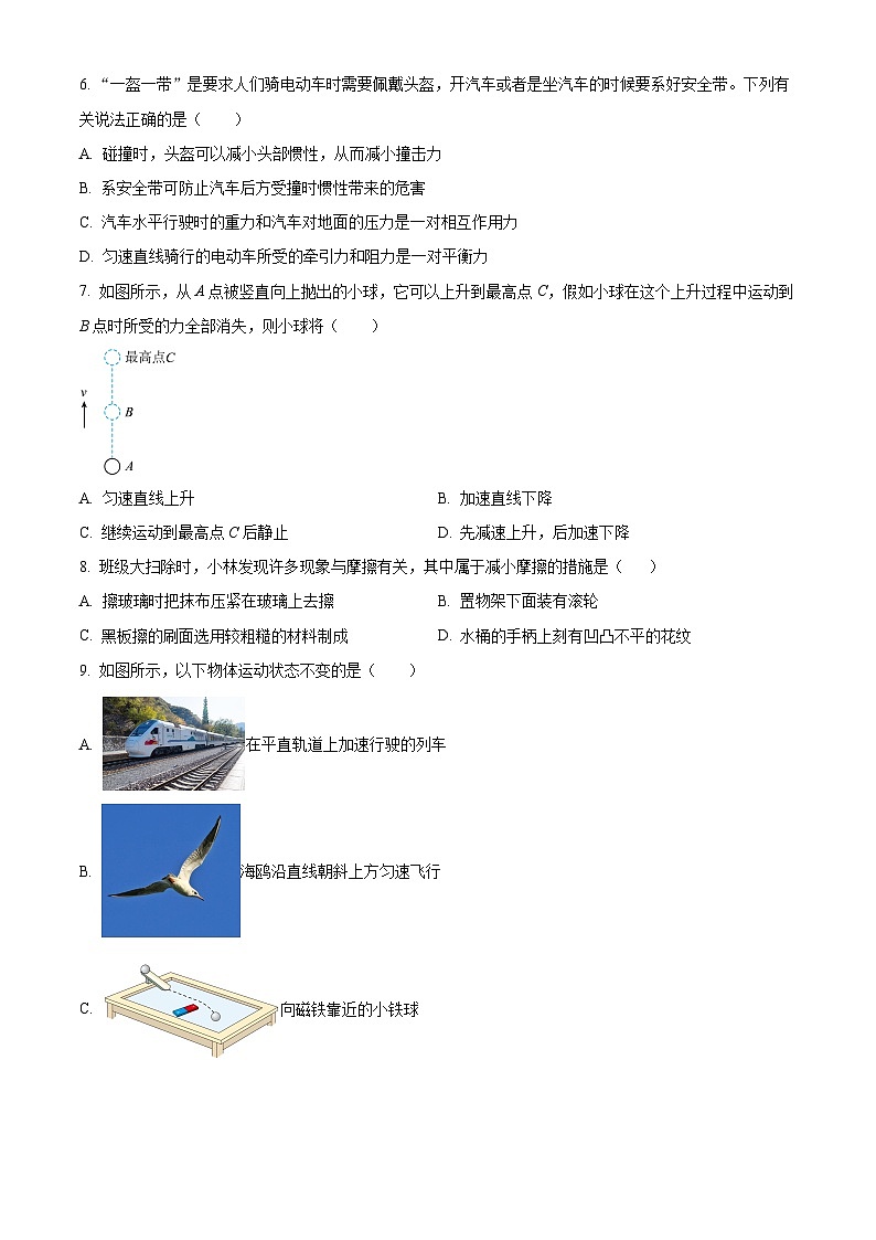 湖北省省直辖县级行政单位13校2024-2025学年八年级下学期3月月考联考物理试题（原卷版+解析版）第2页