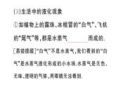 初中物理新滬科版九年級(jí)全冊(cè)第十三章第三節(jié)第二課時(shí) 液化課堂作業(yè)課件2025秋（含答案）