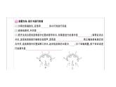 初中物理新滬科版九年級(jí)全冊(cè)第十五章實(shí)驗(yàn)考點(diǎn)高分突破（理解讀記）課堂作業(yè)課件2025秋（含答案）