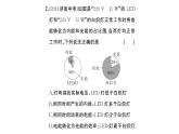 初中物理新滬科版九年級全冊第十七章中考新考向 跨學(xué)科實踐題作業(yè)課件2025秋（含答案）