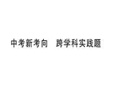 初中物理新滬科版九年級全冊第十九章中考新考向 跨學(xué)科實踐題作業(yè)課件2025秋（含答案）