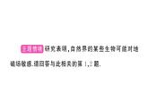 初中物理新滬科版九年級全冊第十九章中考新考向 跨學(xué)科實踐題作業(yè)課件2025秋（含答案）