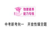 初中物理新滬科版九年級全冊中考新考向一 開放性填空題作業(yè)課件2025秋（含答案）