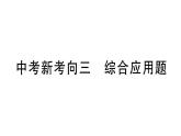 初中物理新滬科版九年級全冊中考新考向三 綜合應(yīng)用題作業(yè)課件2025秋（含答案）