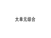 初中物理新滬科版九年級全冊大單元綜合作業(yè)課件2025秋（含答案）