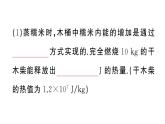 初中物理新滬科版九年級全冊大單元綜合作業(yè)課件2025秋（含答案）