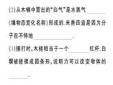 初中物理新滬科版九年級全冊大單元綜合作業(yè)課件2025秋（含答案）