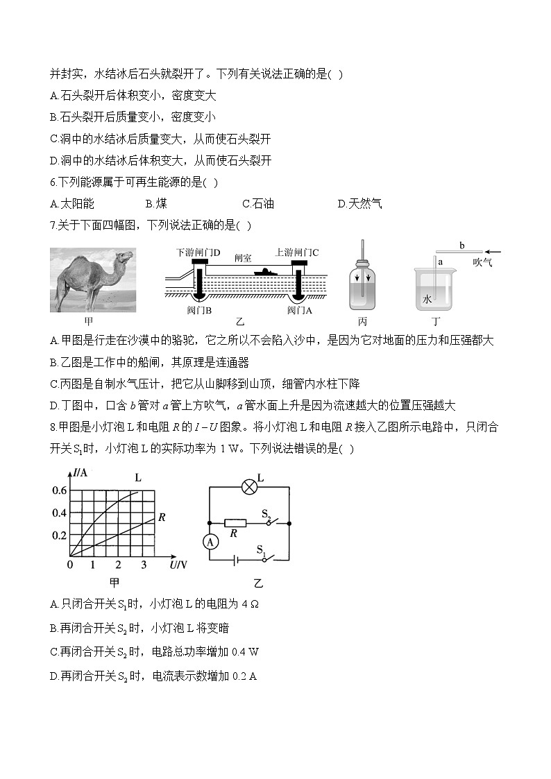 2025届中考物理模拟卷 【西藏专用】第2页