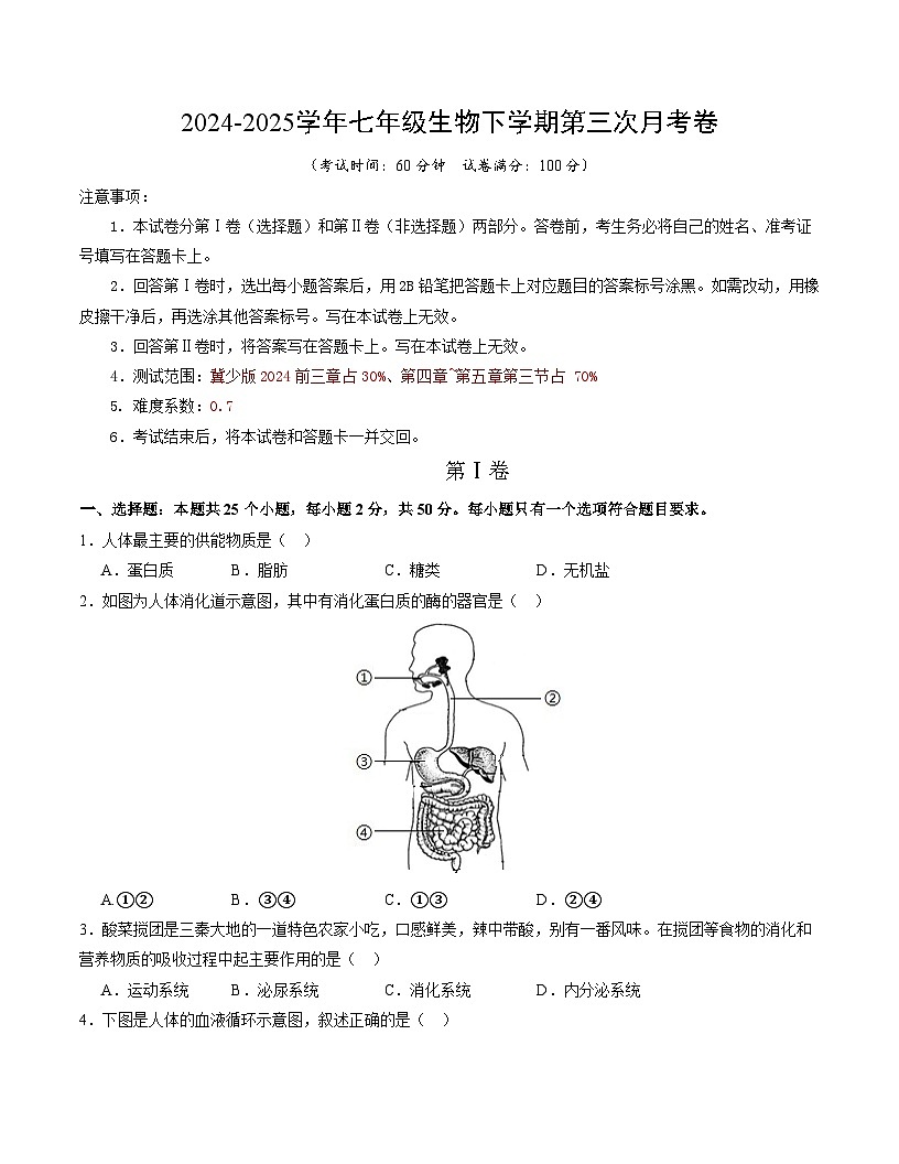 七年级生物月考卷【测试范围：冀少版2024第一章~第五章第三节】（考试版）第1页