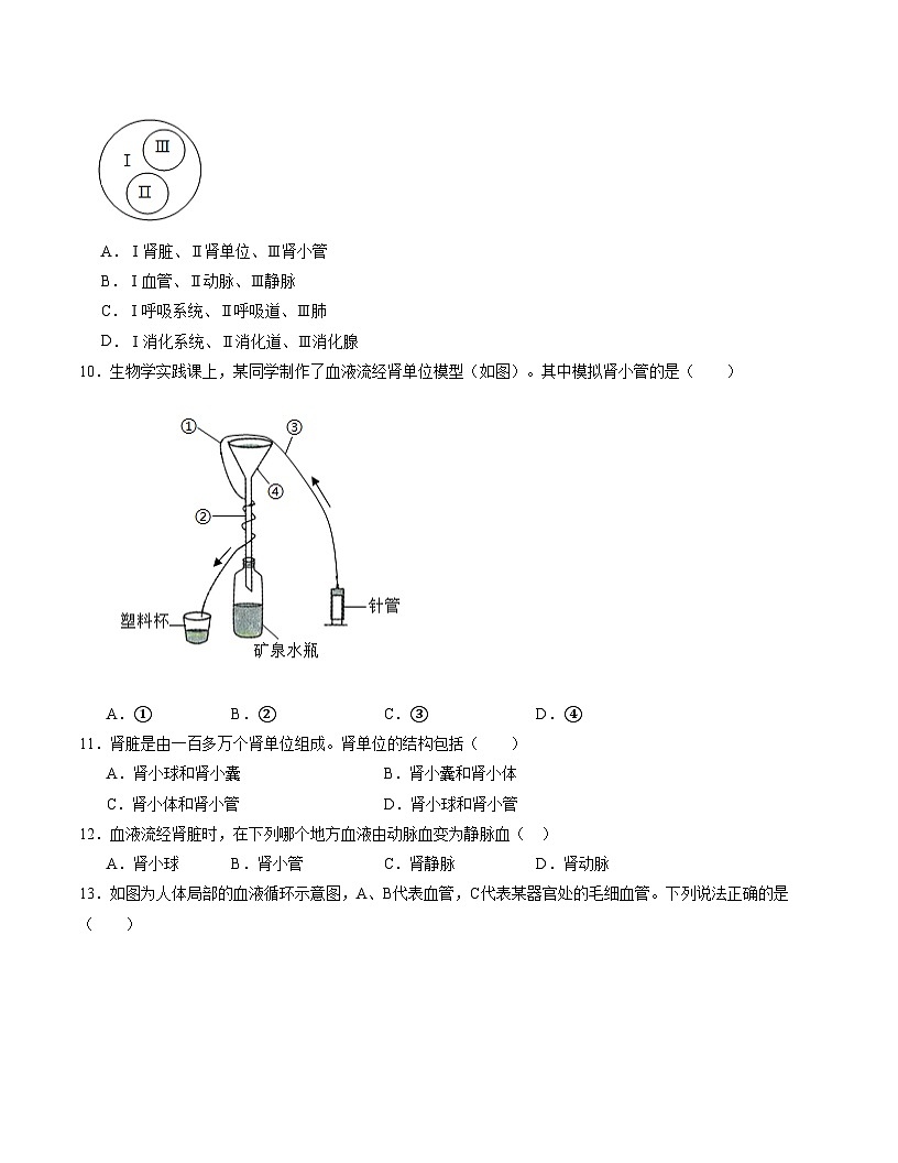 七年级生物月考卷【测试范围：冀少版2024第一章~第五章第三节】（考试版）第3页