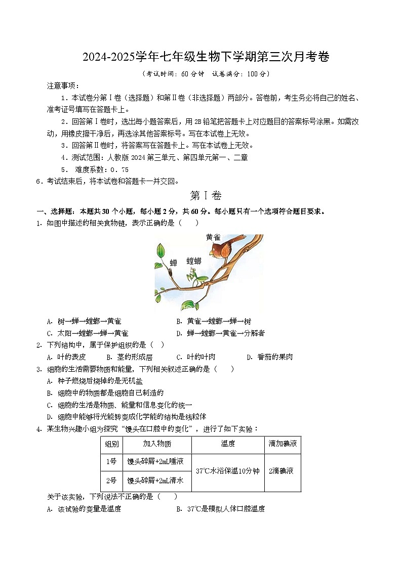 七年级生物月考卷【测试范围：人教版2024第三单元、第四单元第一、二章】（考试版A4）（湖北专用）第1页