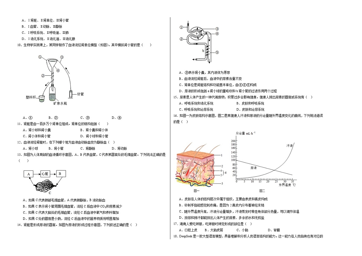 七年级生物月考卷【测试范围：冀少版2024第一章~第五章第三节】（考试版A3）第2页