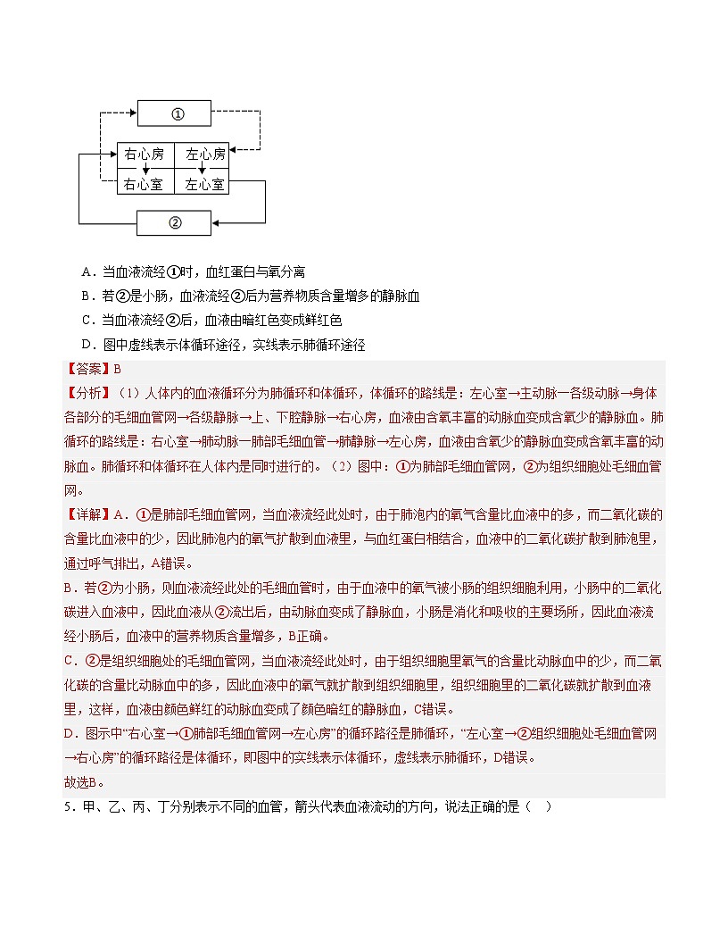 七年级生物月考卷（全解全析）第3页
