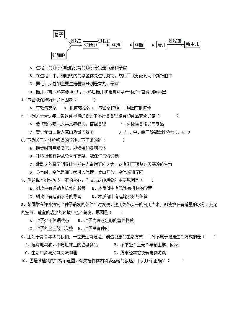 七年级生物月考卷01【测试范围：第三单元~第四单元第三章】（考试版）（人教版2024）第2页