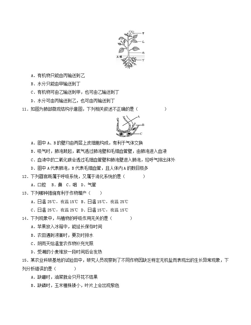 七年级生物月考卷01【测试范围：第三单元~第四单元第三章】（考试版）（人教版2024）第3页