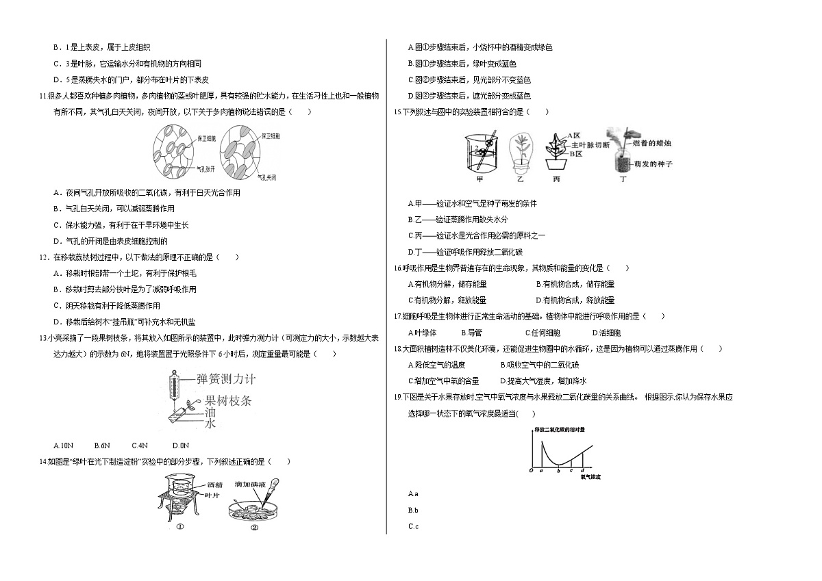 七年级生物月考卷【测试范围：人教版2024第三单元第四单元前两章】（考试版A3）（湖南专用）第2页