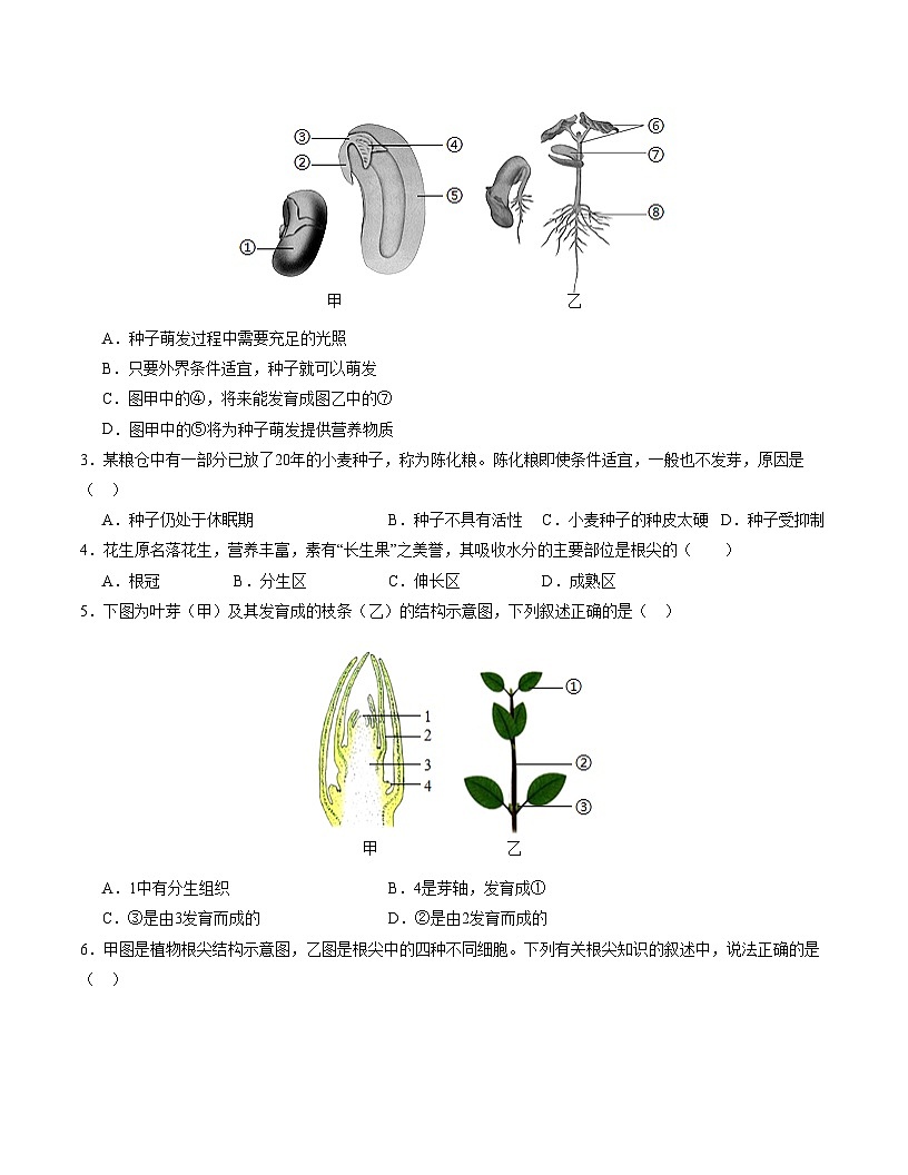 七年级生物月考卷【测试范围：七下第3单元~第4单元第2章】（考试版）（人教版2024）第2页