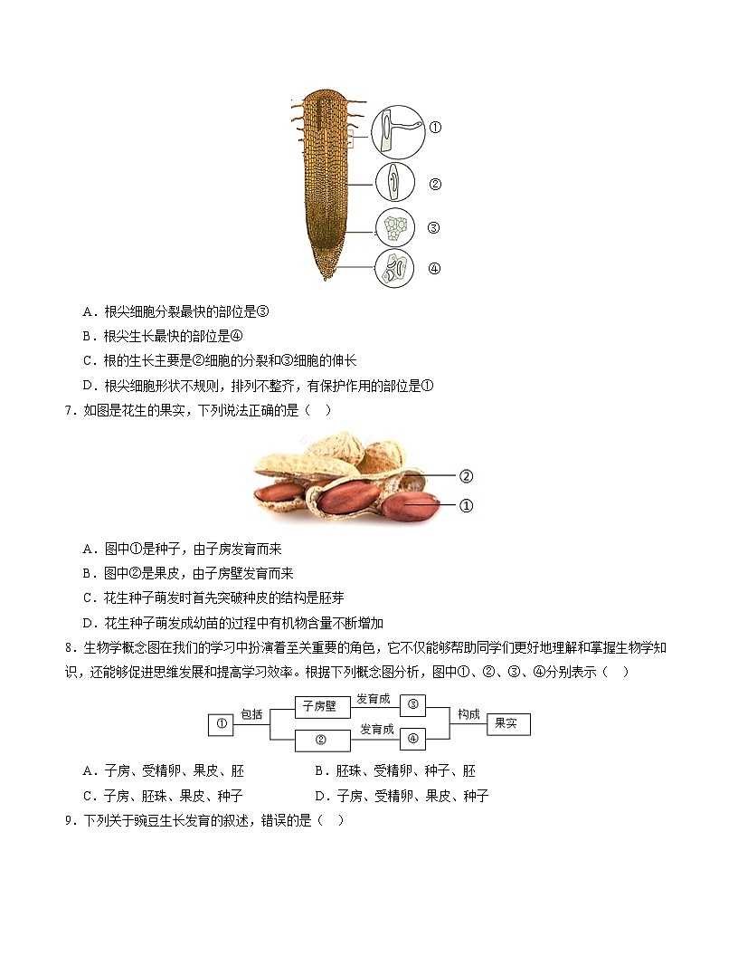 七年级生物月考卷【测试范围：七下第3单元~第4单元第2章】（考试版）（人教版2024）第3页