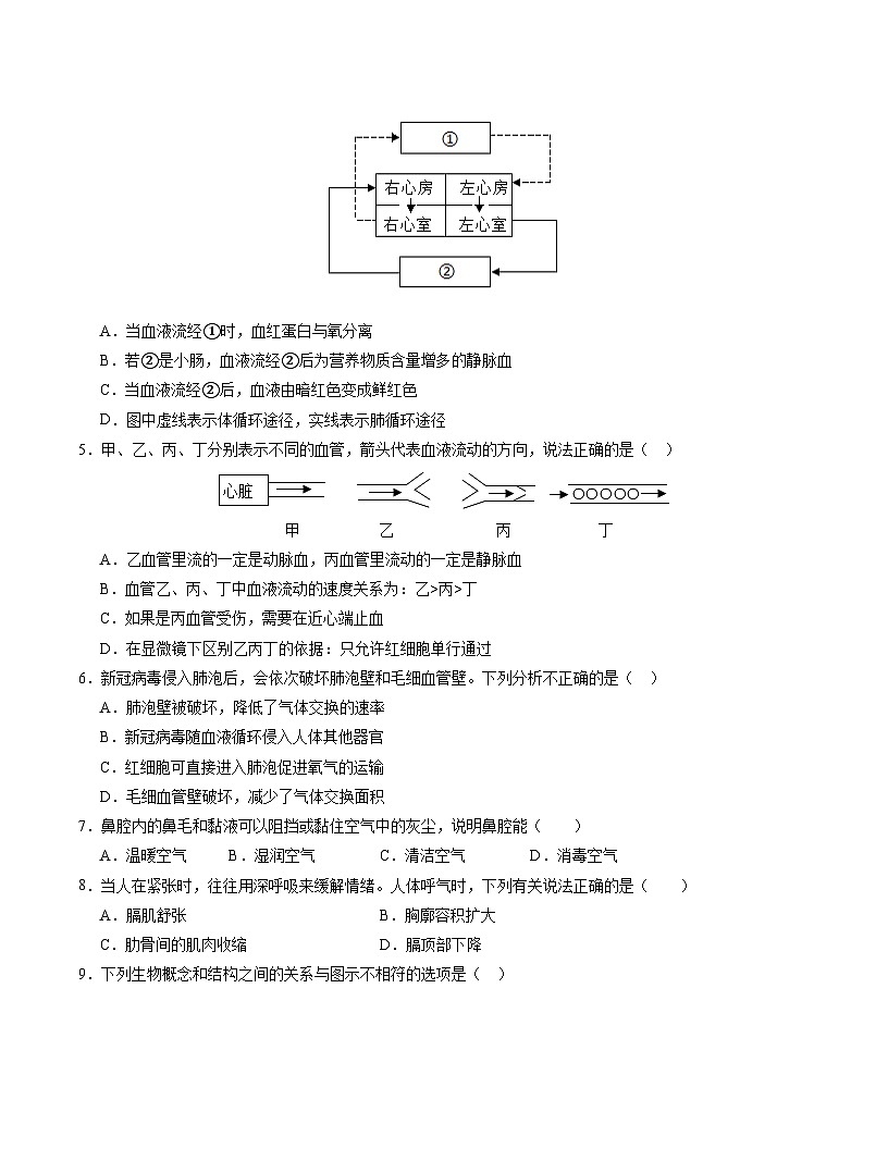 七年级生物月考卷【测试范围：冀少版2024第一章~第五章第三节】（考试版）第2页