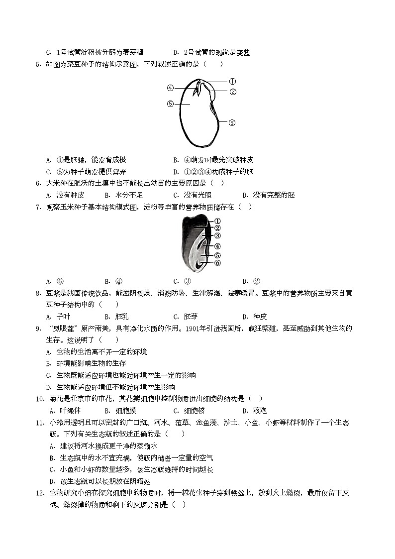 七年级生物月考卷【测试范围：人教版2024第三单元、第四单元第一、二章】（考试版A4）（湖北专用）第2页