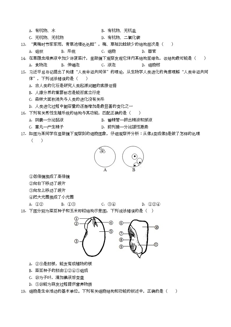 七年级生物月考卷【测试范围：人教版2024第三单元、第四单元第一、二章】（考试版A4）（湖北专用）第3页