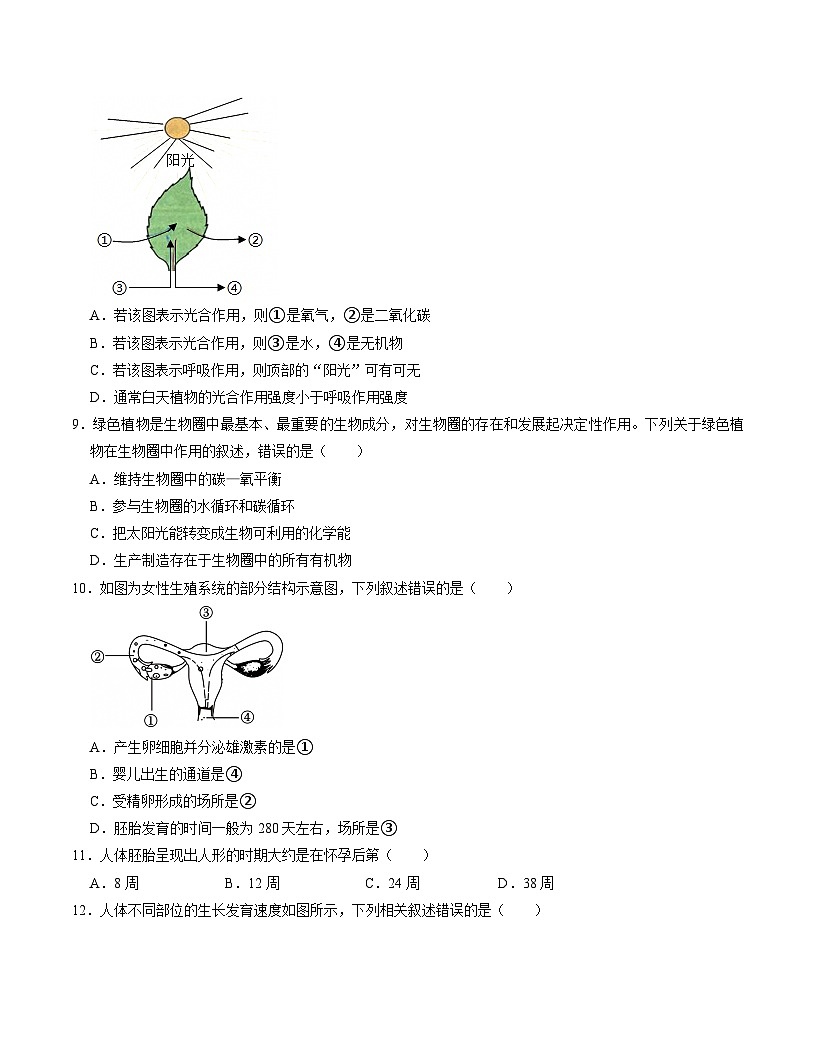 七年级生物月考卷【测试范围：人教版2024第三单元~第四单元第三章】（考试版）（安徽专用）第3页