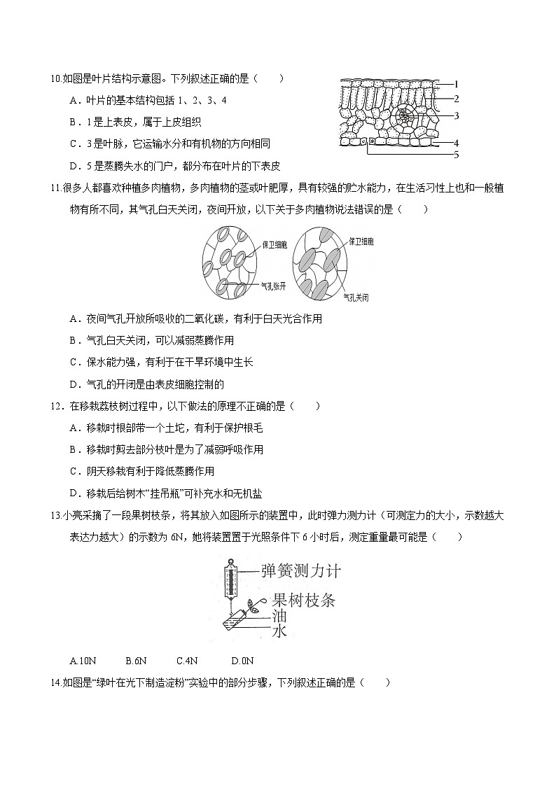 七年级生物月考卷【测试范围：人教版2024第三单元和第四单元一二章】（考试版）（湖南专用）第3页